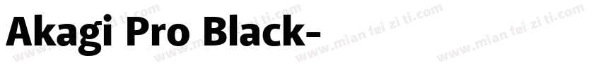 Akagi Pro Black字体转换